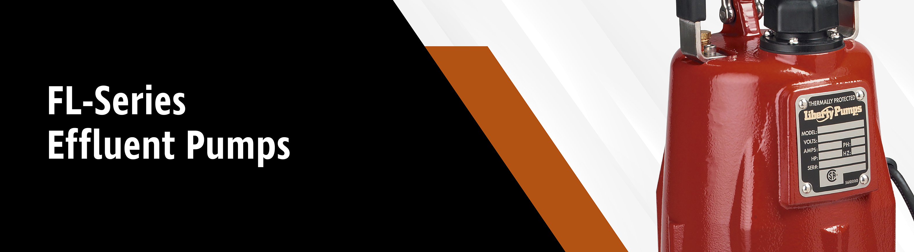 FL100-Header-01.jpg